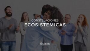 Formacion en constelaciones Ecosistemicas