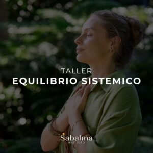 Taller de Equilibrio Sistemico (Intercambio mensual)